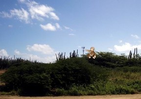 SM Landscape near Aruba Racquet Club